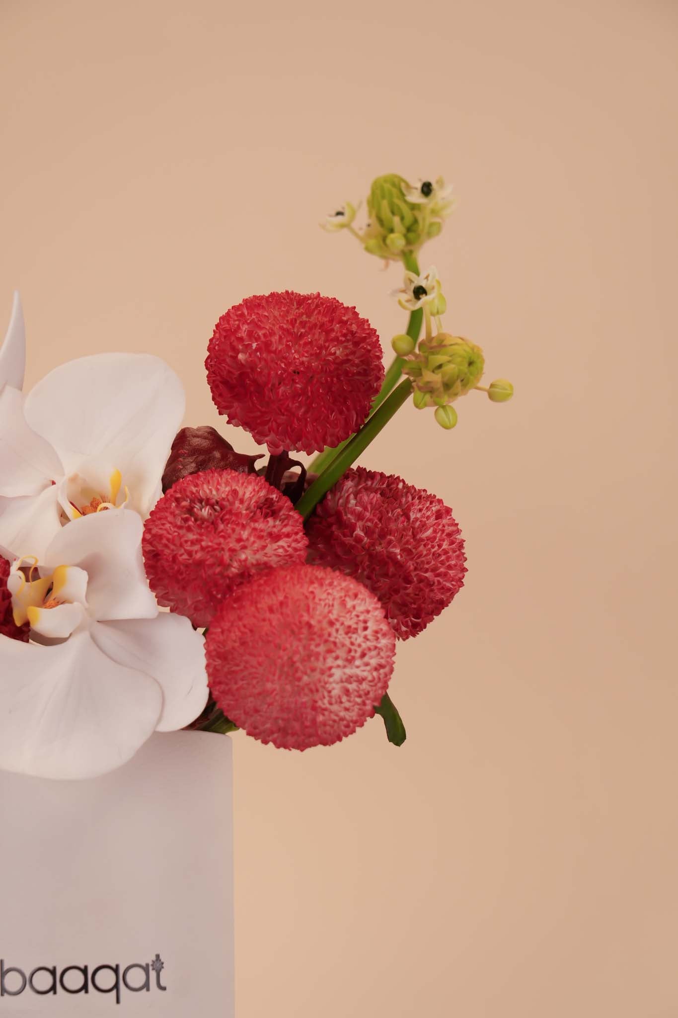 Crimson Orchid Elegance