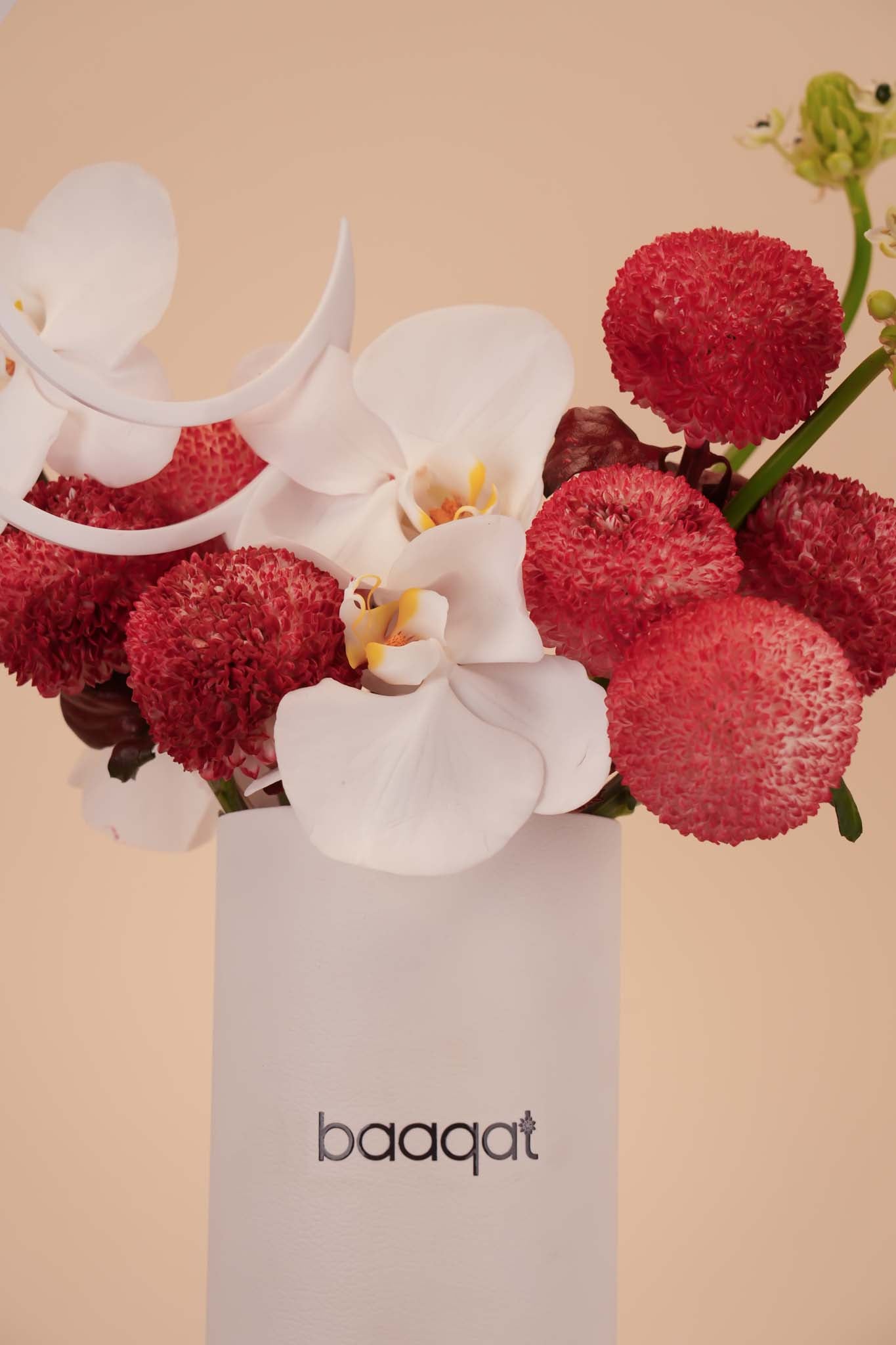 Crimson Orchid Elegance