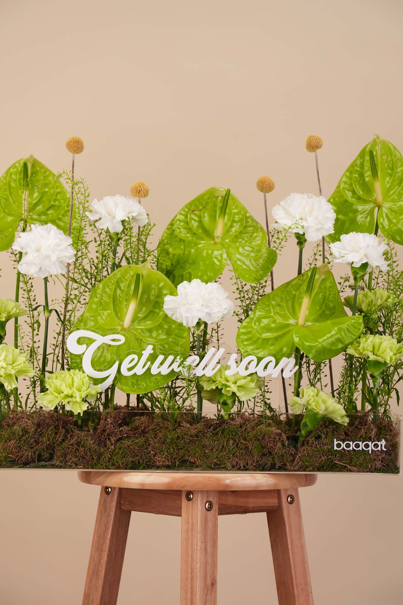 Green Anthurium Get Well Arrangement