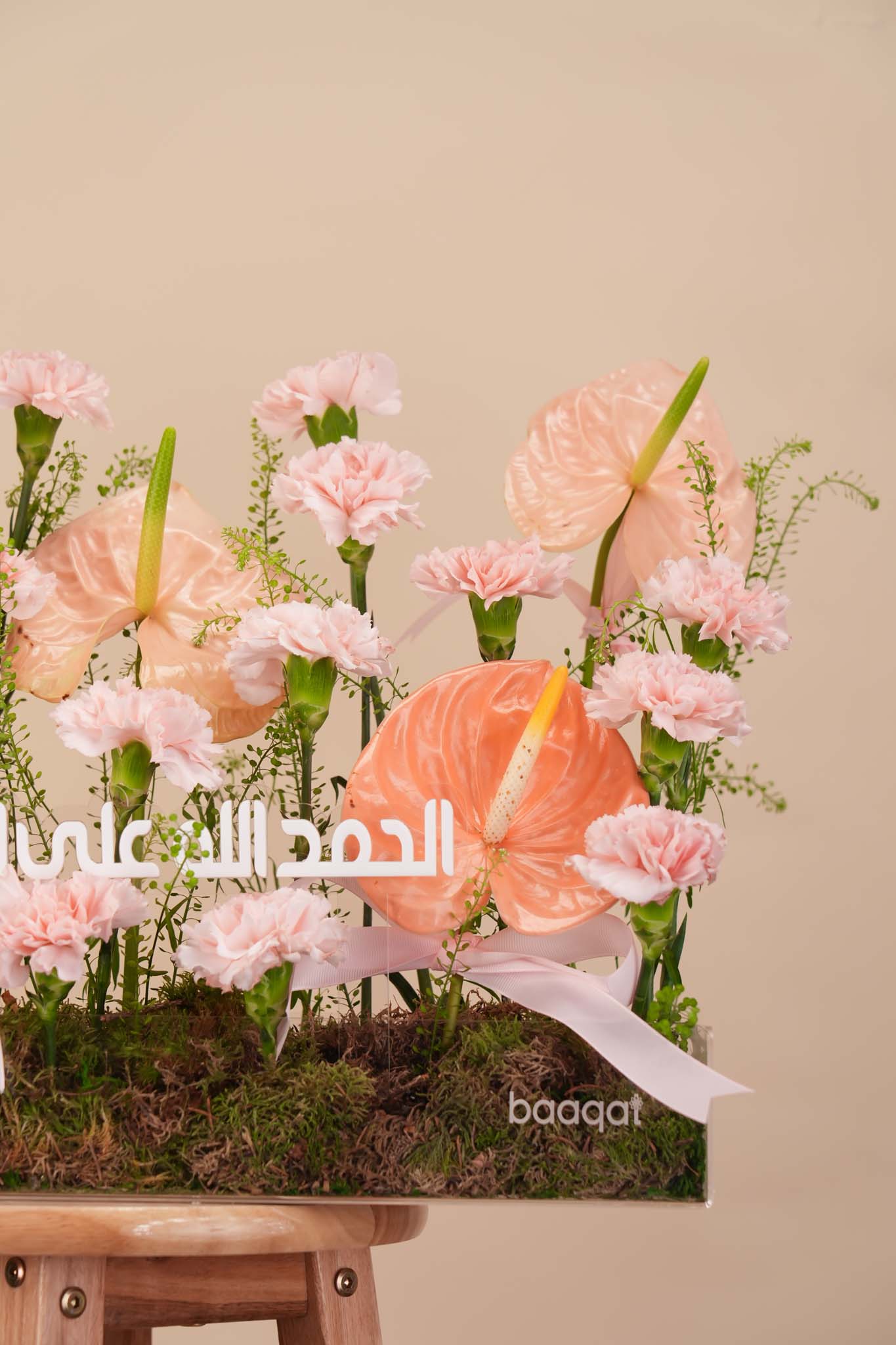 Peach Anthurium Arrangement