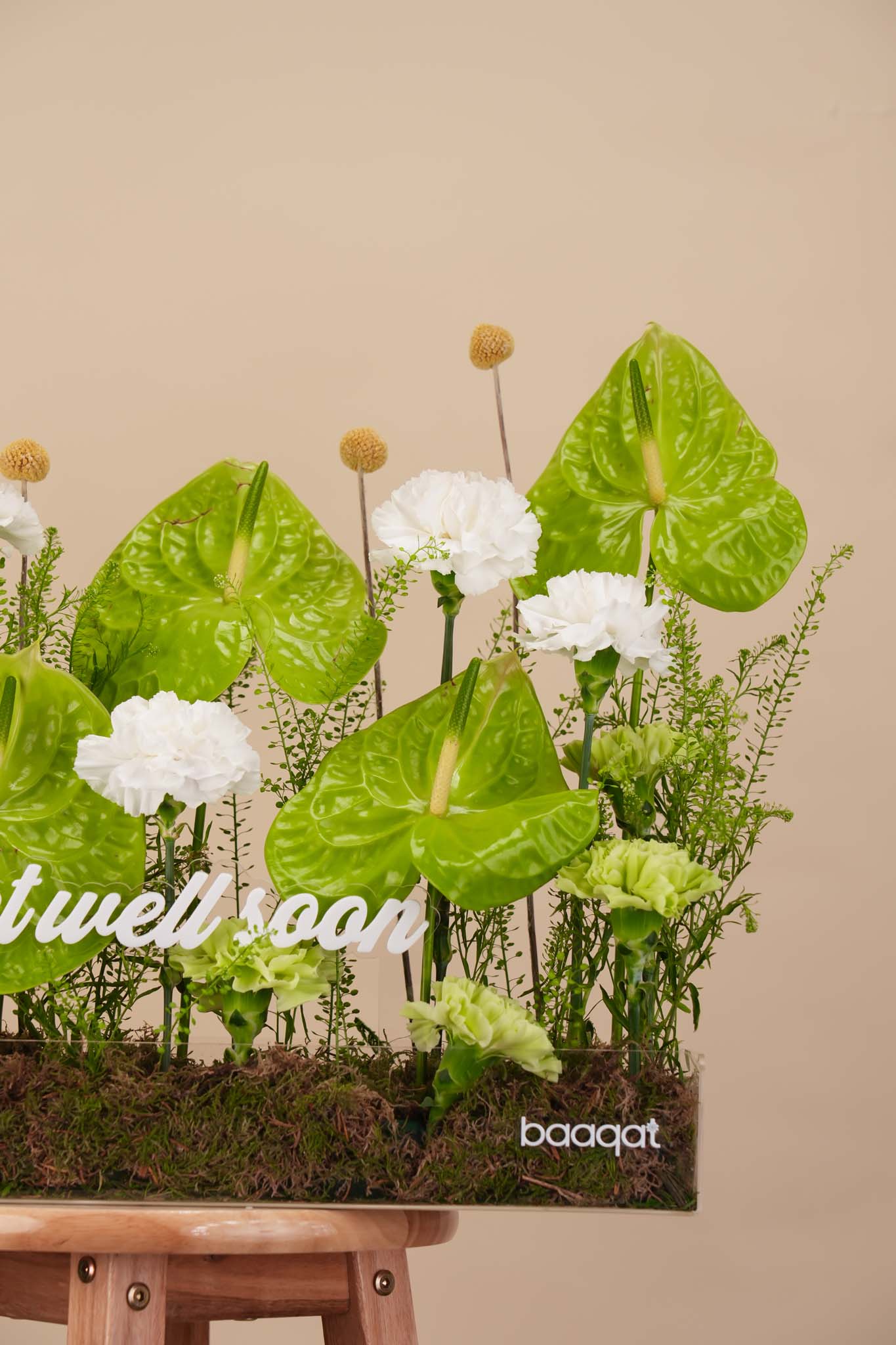 Green Anthurium Get Well Arrangement