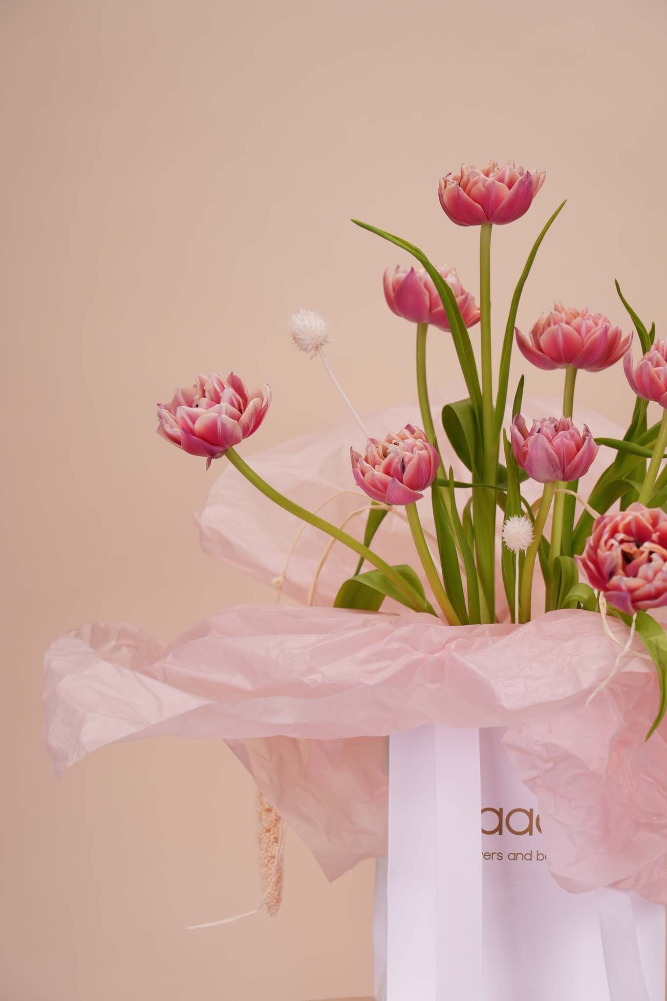 Blush Stem Poetry
