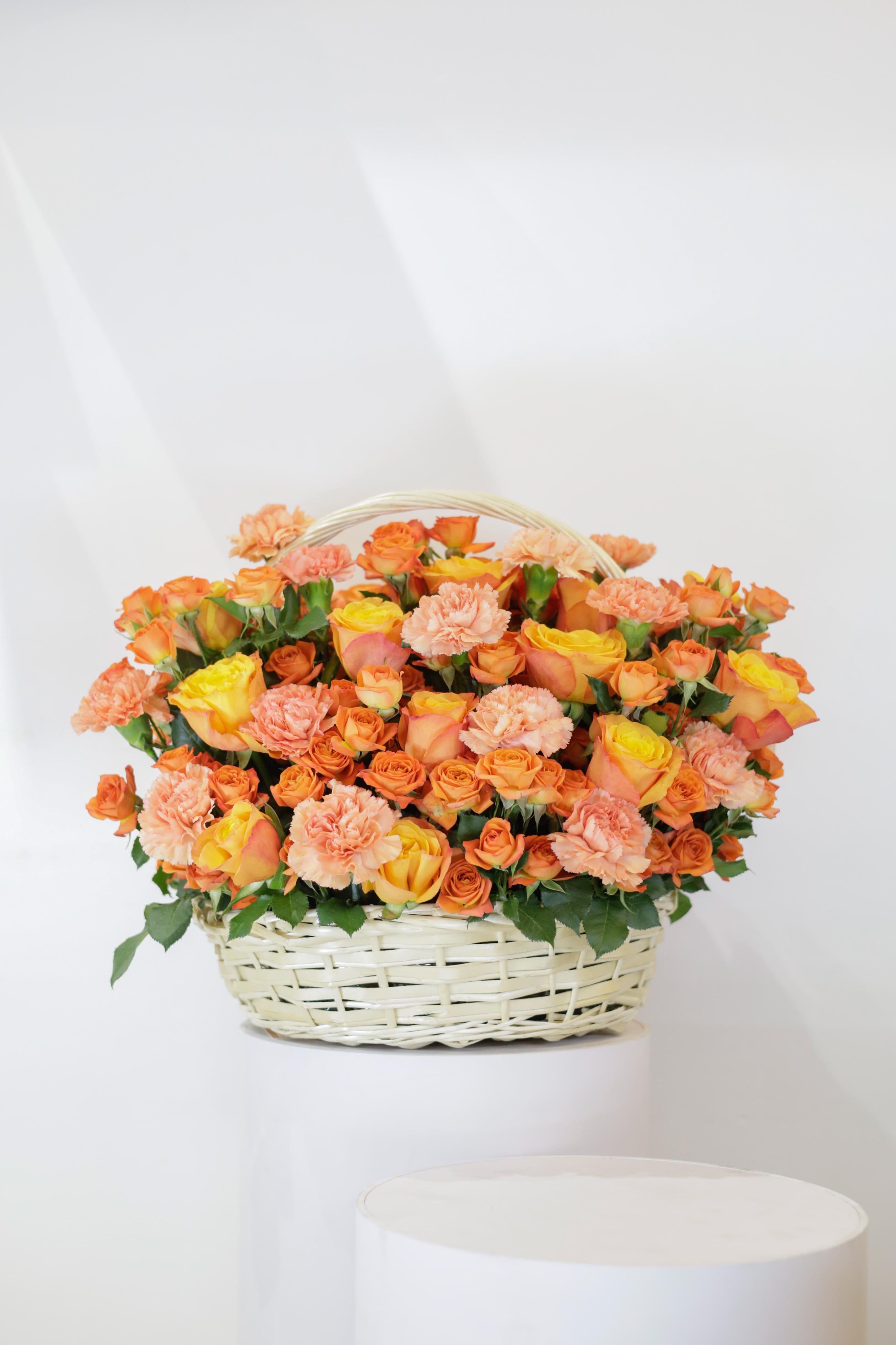 توهج الغروب