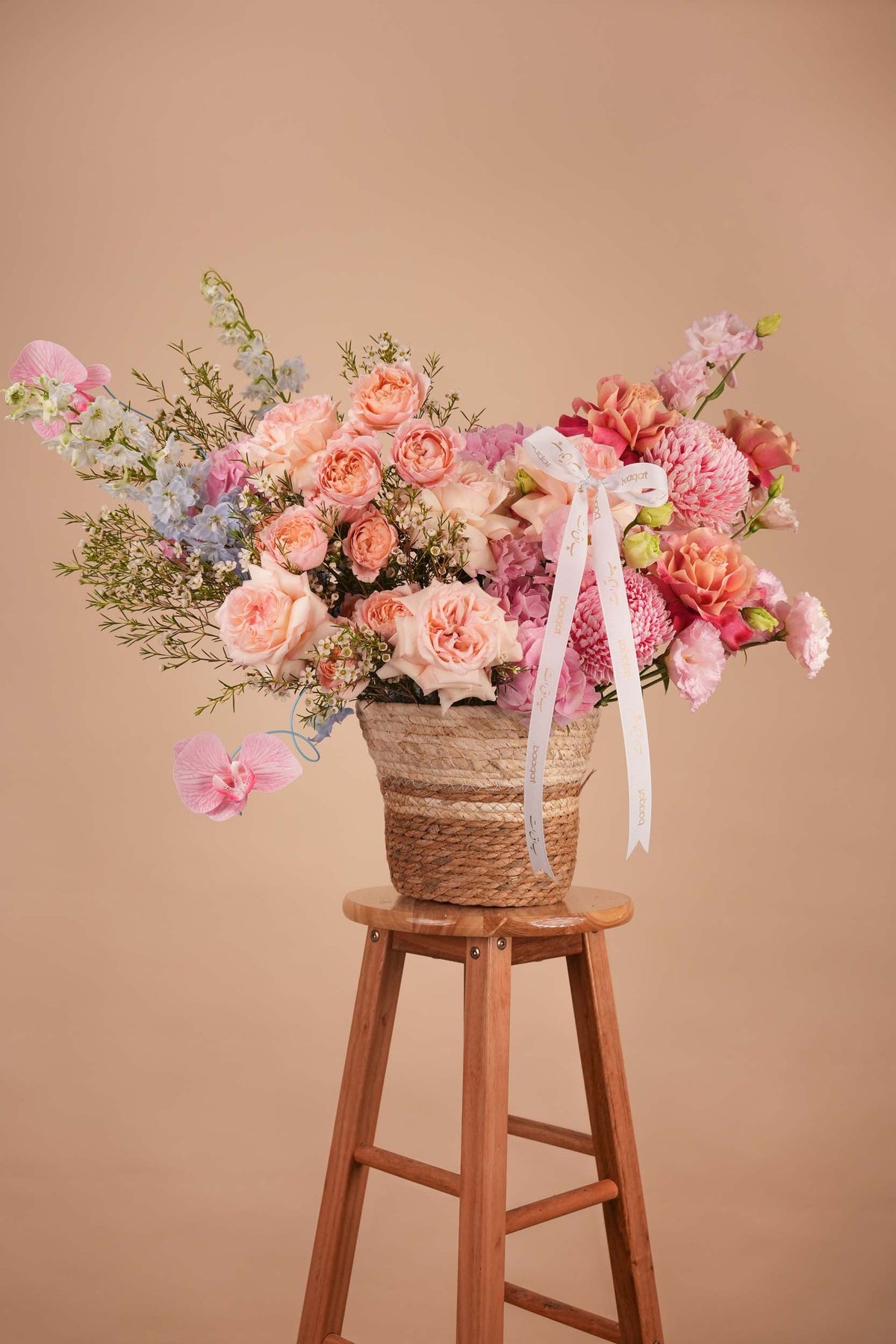 Tulip Flower Guide: What They Mean and When to Gift Them