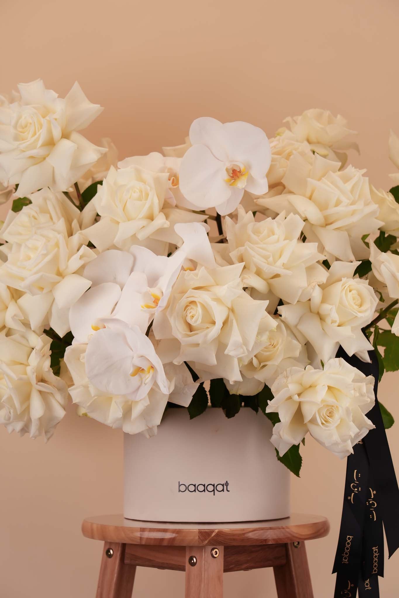 Ivory Rose Orchid Bloom