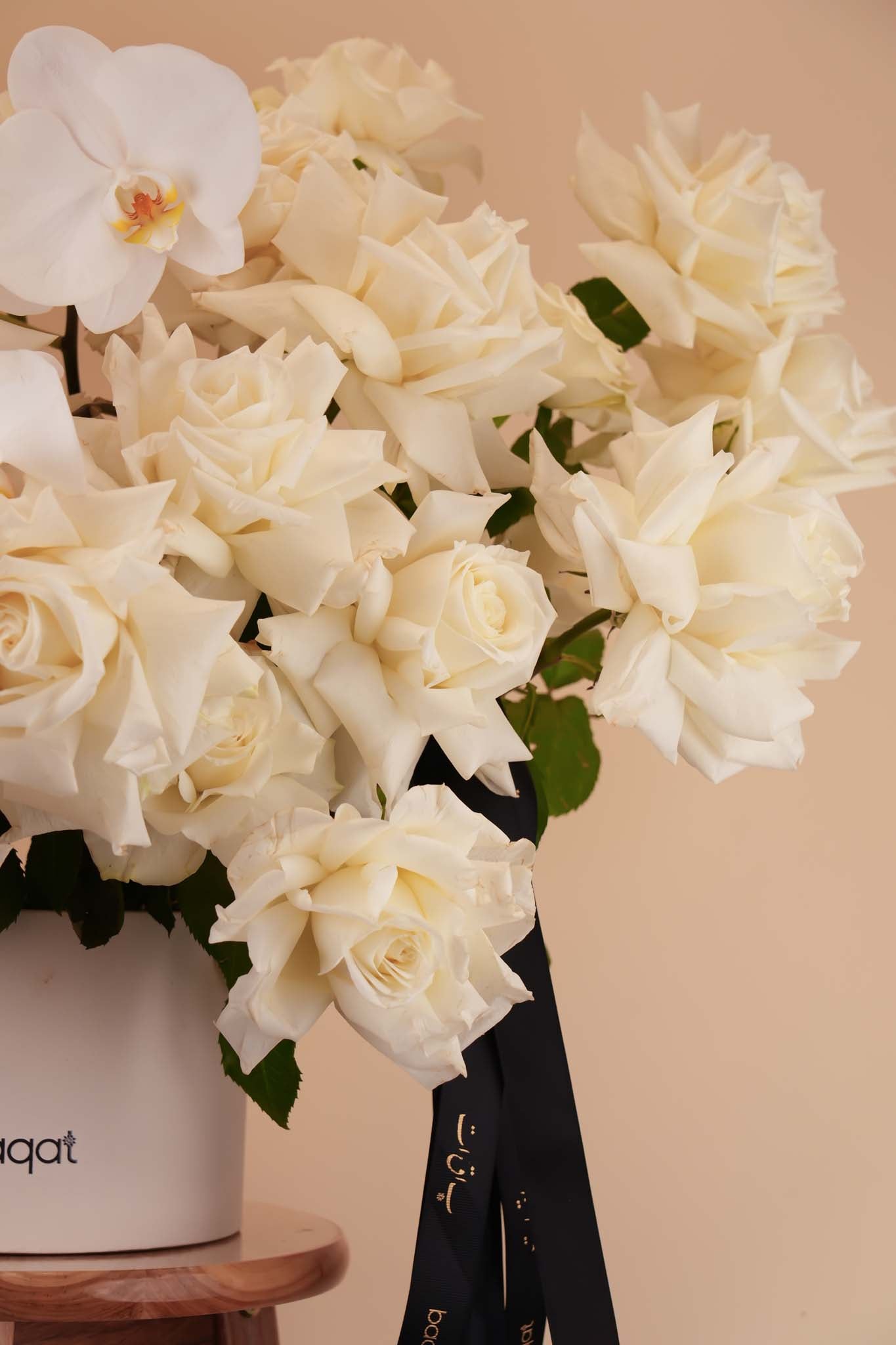 Ivory Rose Orchid Bloom