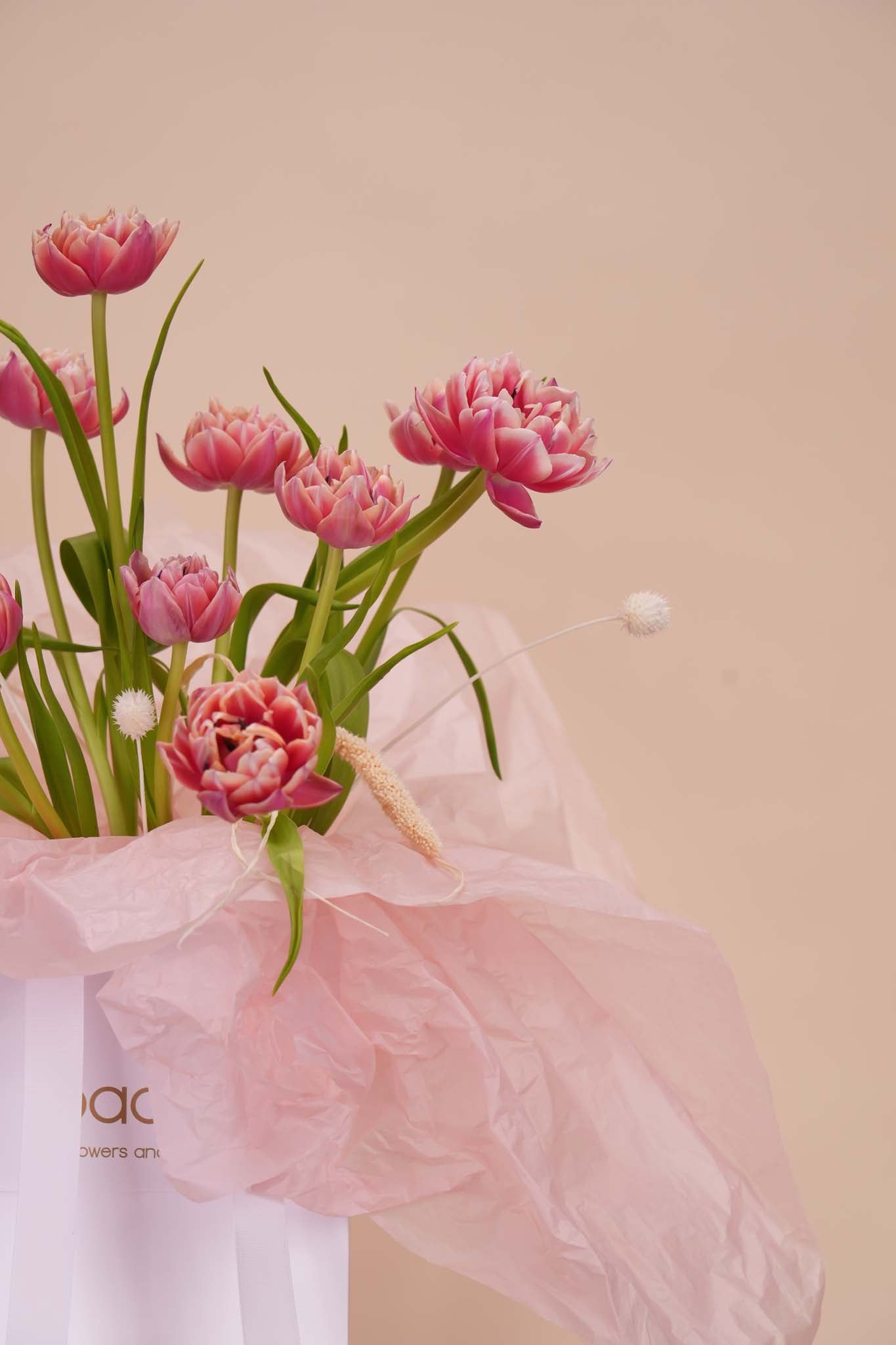Blush Stem Poetry