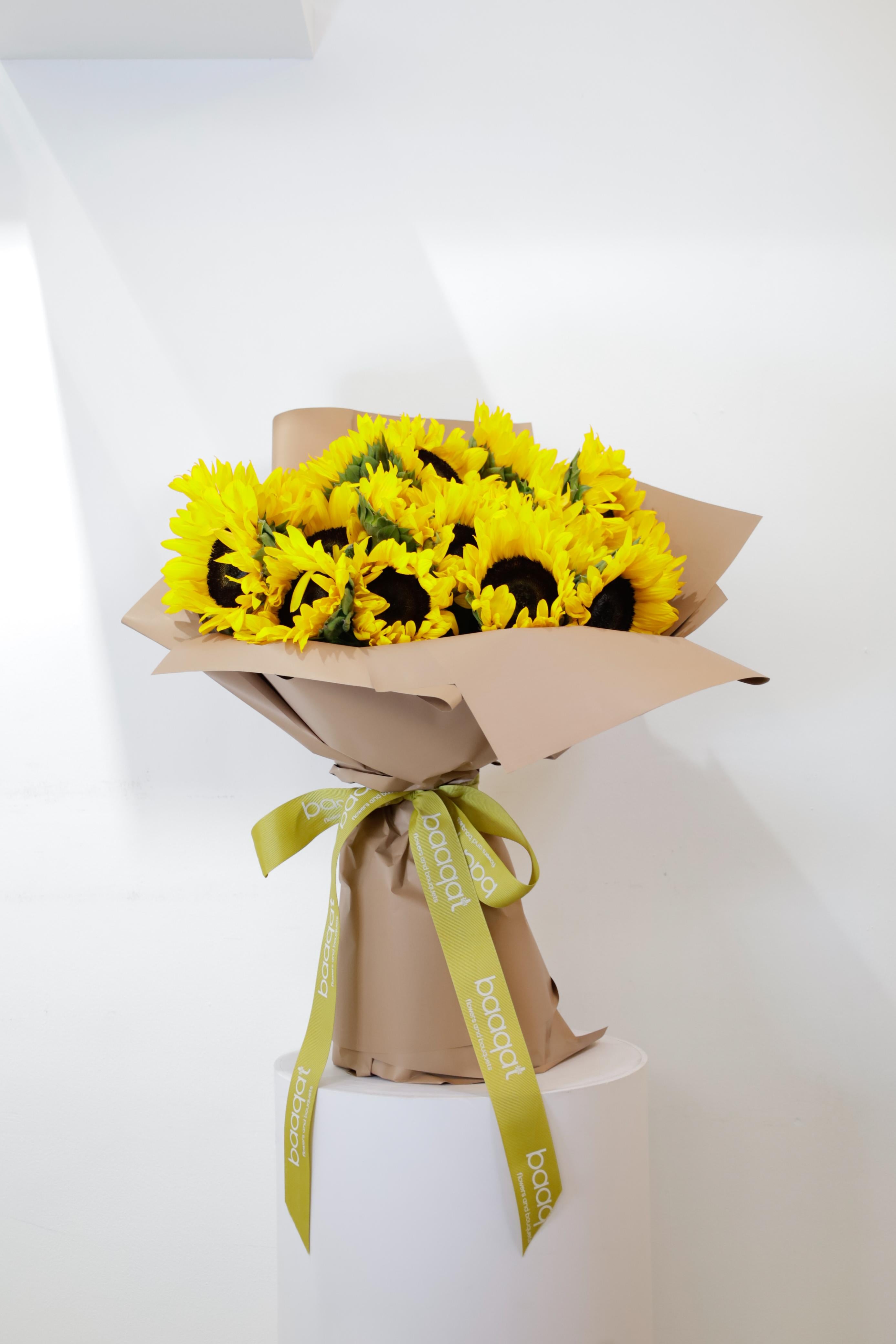 The Brilliant Sunshine