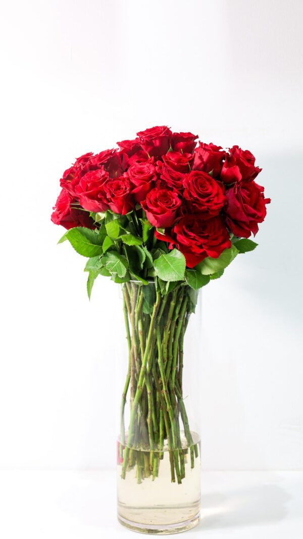 Online Flowers & Gifts Delivery Shop Dubai