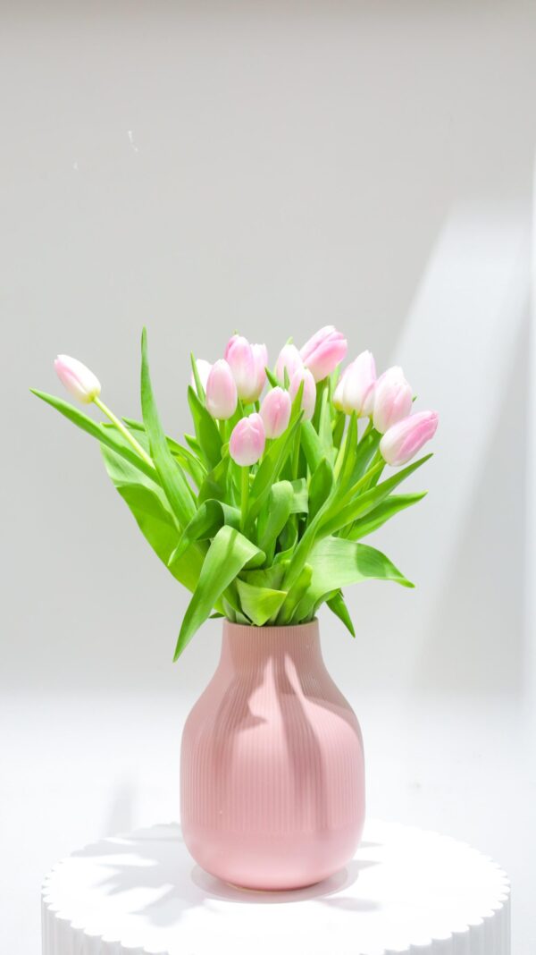 Online Flowers & Gifts Delivery Shop Dubai