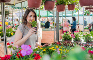 Online Flower Market Dubai