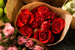 meaning of rose colors, rose color symbolism, gifting roses, what do rose colors mean, roses for different occasions
