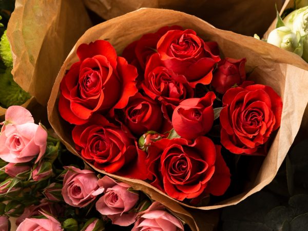 red flower bouquet, gift red roses, pink and red roses, red and white rose bouquet, rose flower decoration, occasions for red roses, romantic flower gifts, anniversary rose bouquet, Valentine’s Day red roses, wedding rose decorations